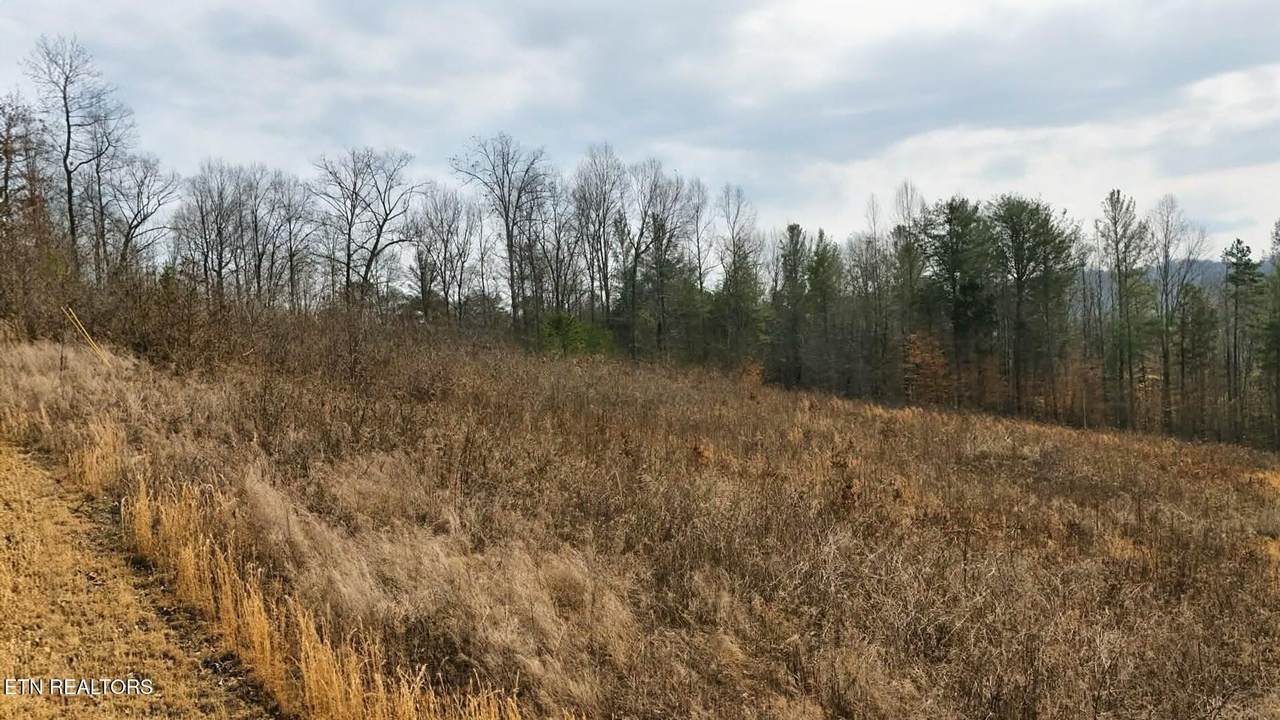 TBD Pinnacle Pointe Way - Photo 1