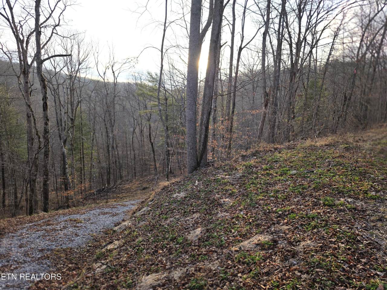  Old Us Highway 27-Mtn View Rd - Photo 1