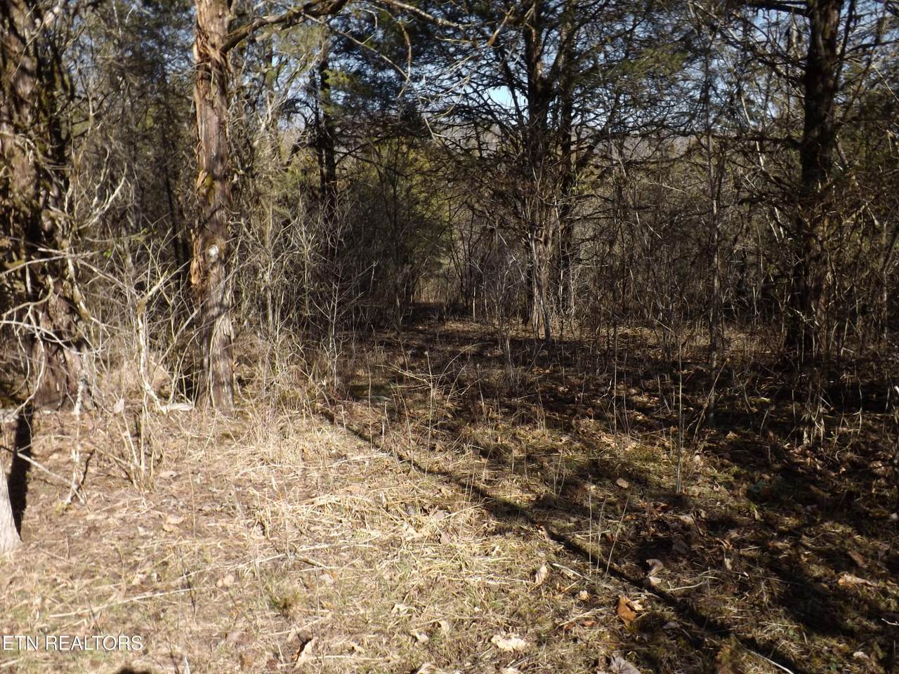 259 Mountain Shores Rd - Photo 1