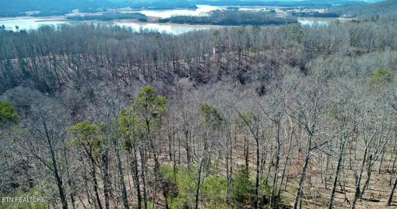 1410 Echota Lane - Photo 1