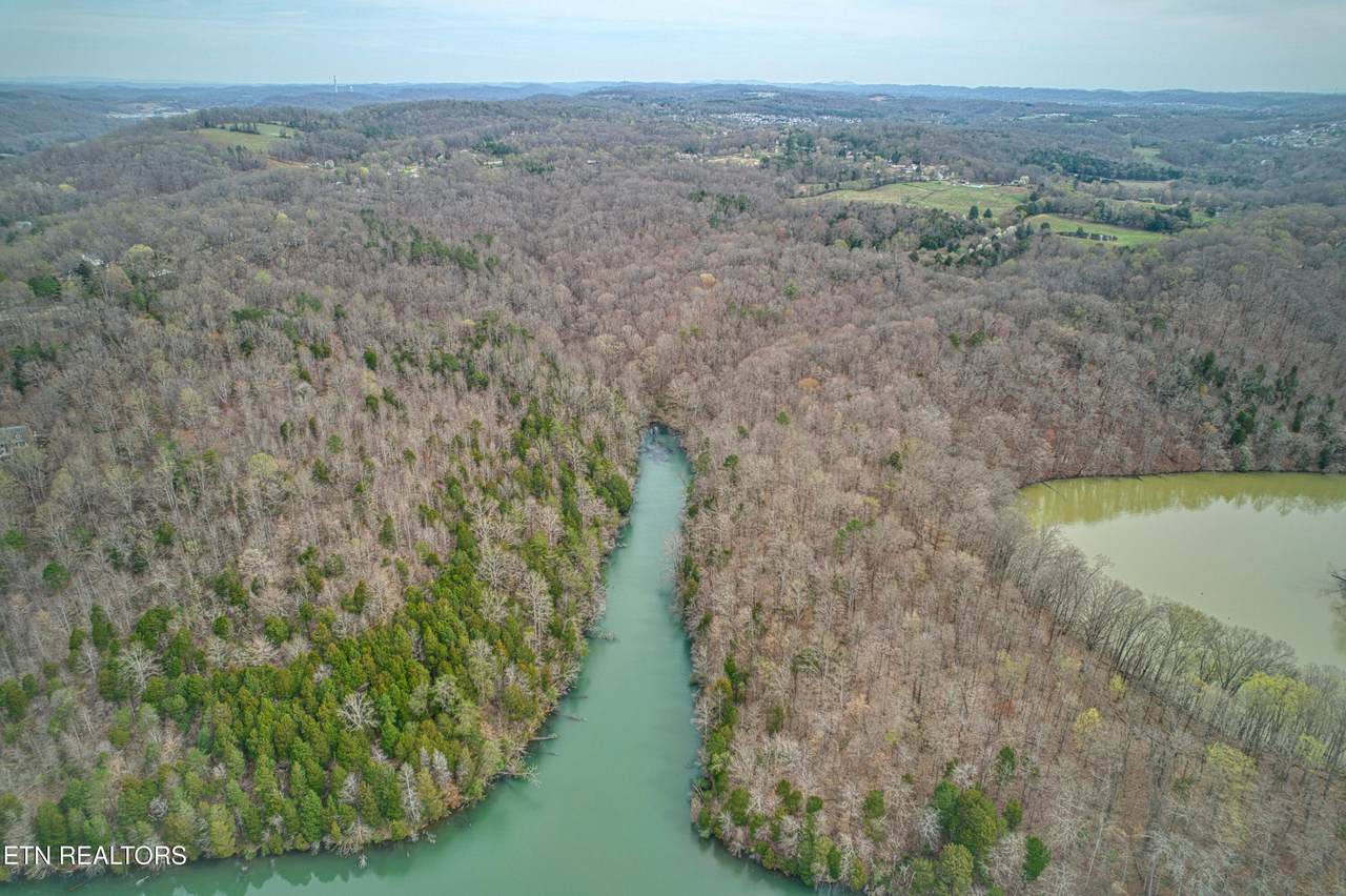 9 + 64 ac Saga Lane - Photo 1