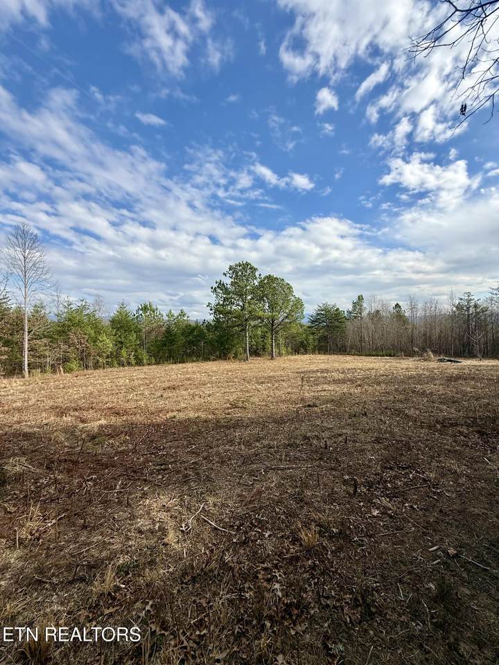 Lots 8 & 9 Curtis Rd - Photo 1