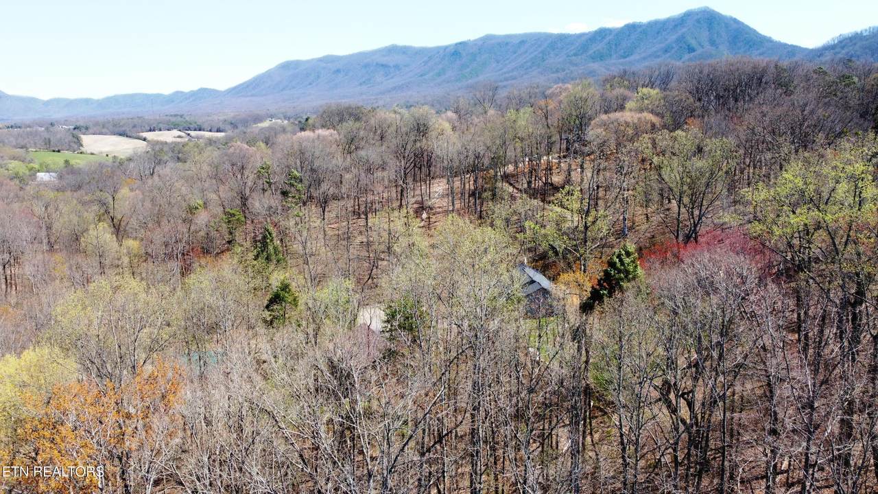 223 Burning Oaks Drive - Photo 1