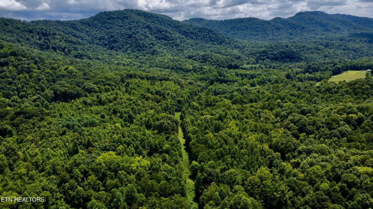  Rockhouse Creek - Church Rd - Photo 1