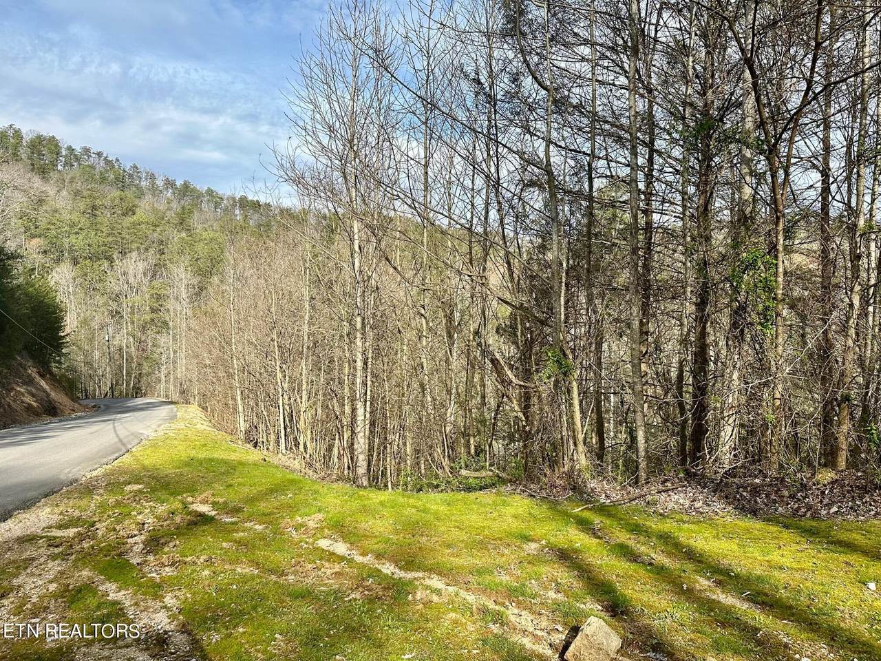 1423 Mountain Dreams Way - Photo 1