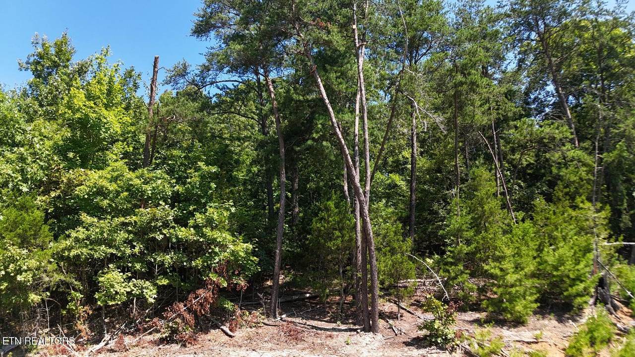 Lot 2 Flat Woods Rd - Photo 1