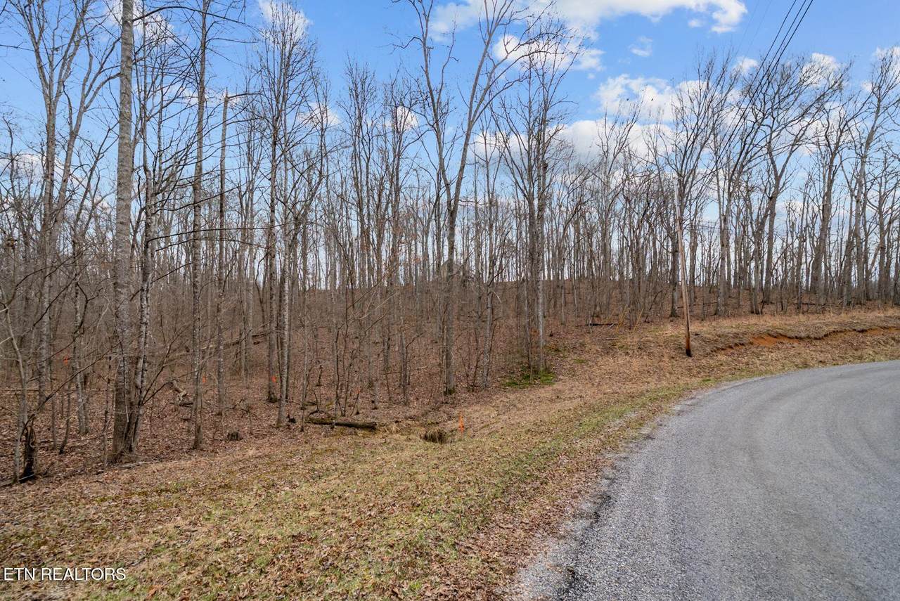 0 Creek Drive - Photo 1
