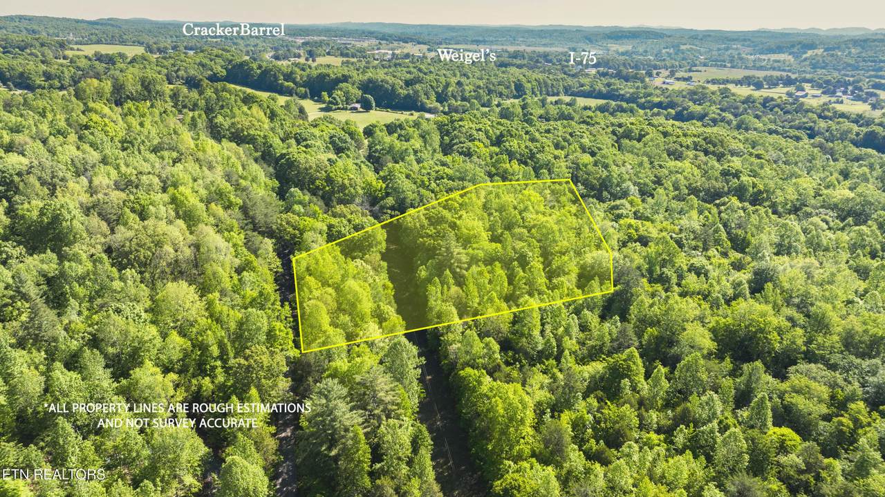  County Road 121, 5.3 Ac - Photo 1
