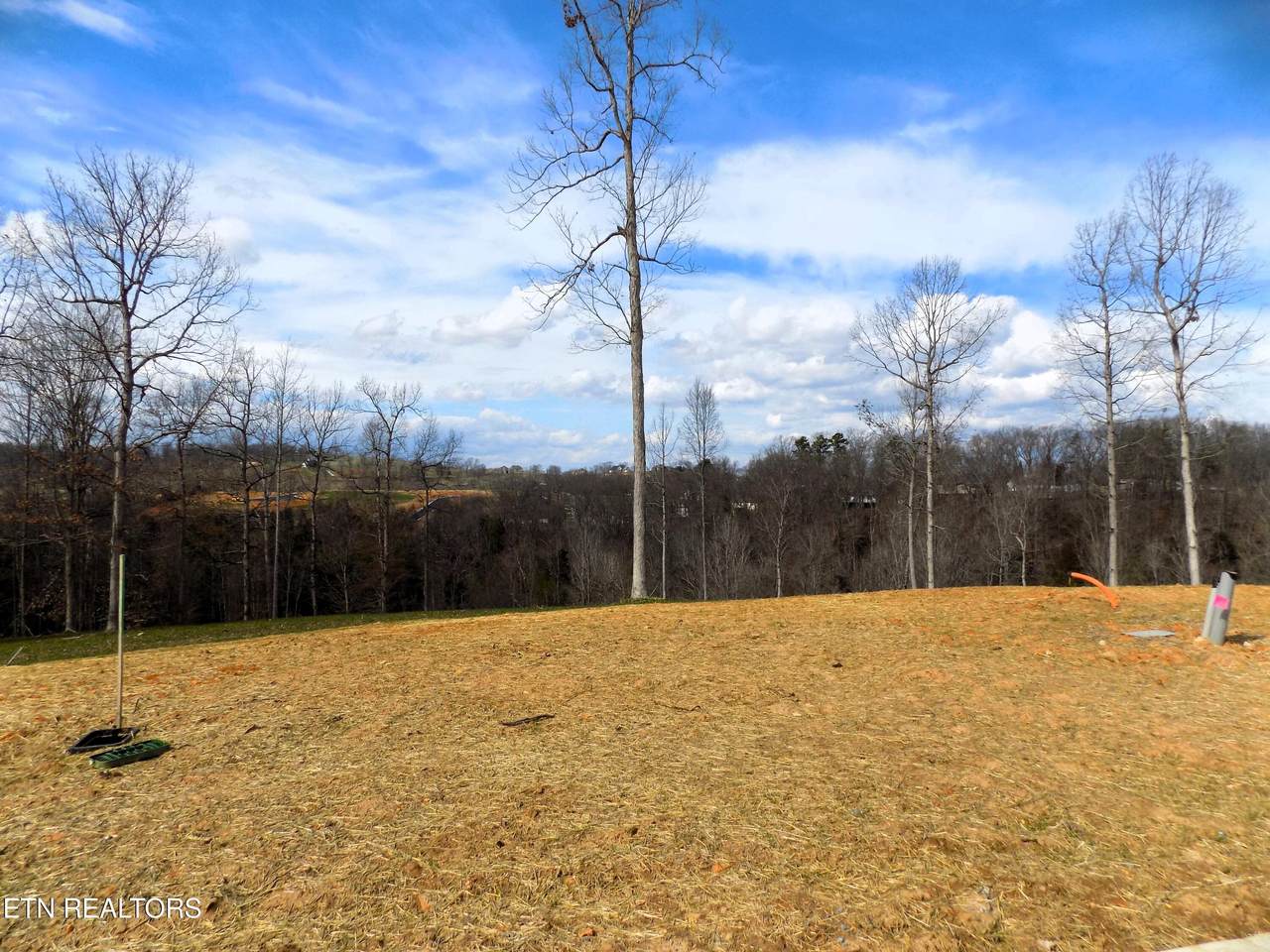 Lot 35 Graystone Shoals - Photo 1
