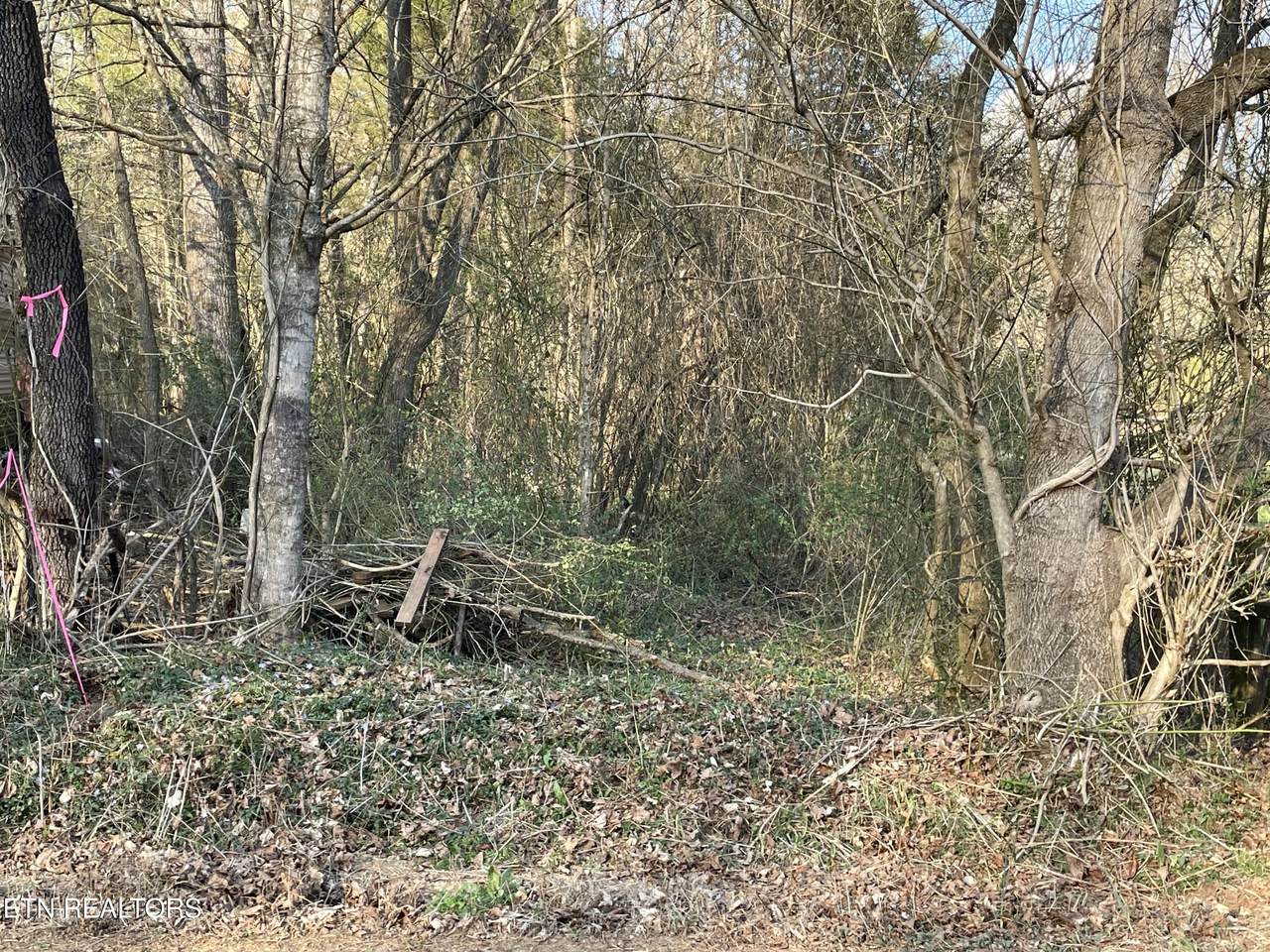  Crowder Rd - Photo 1