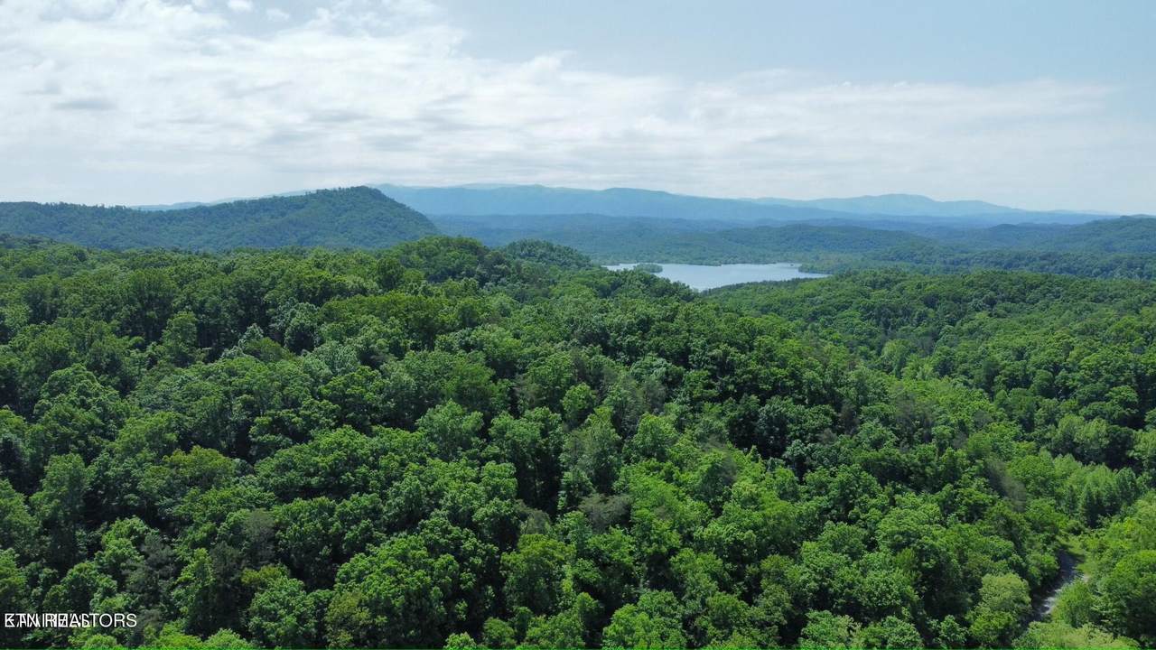 100 acres Highway 72 - Photo 1