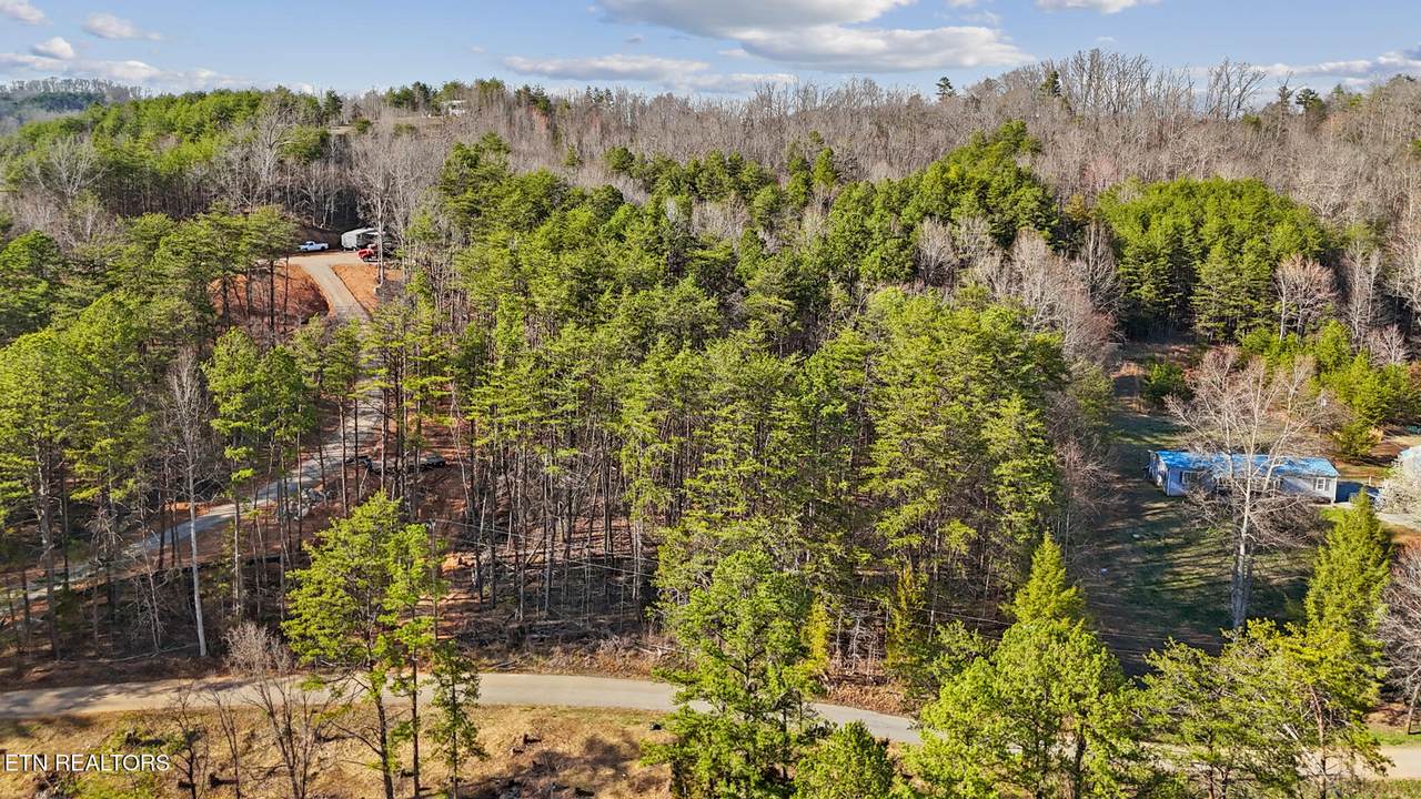 4705 Emert Williams Rd - Photo 1