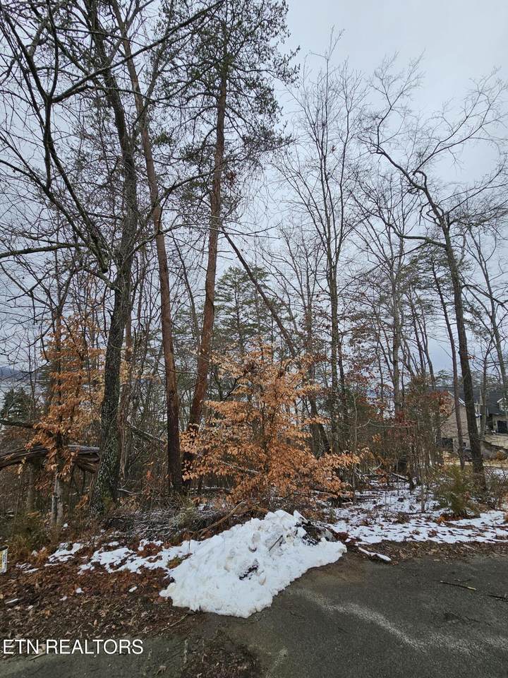  Kammann Cove - Photo 1