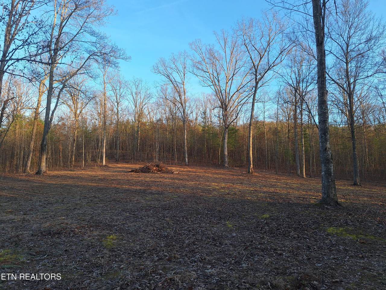 Lot 2 Mecca Pike - Photo 1