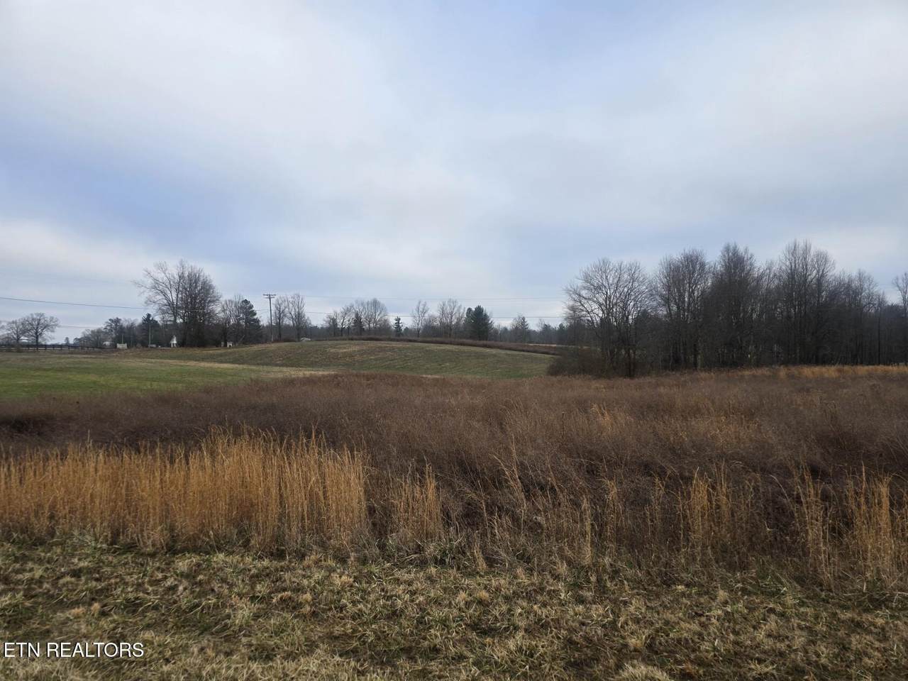  Coopertown/Leatherwood Tract 2 Rd - Photo 1