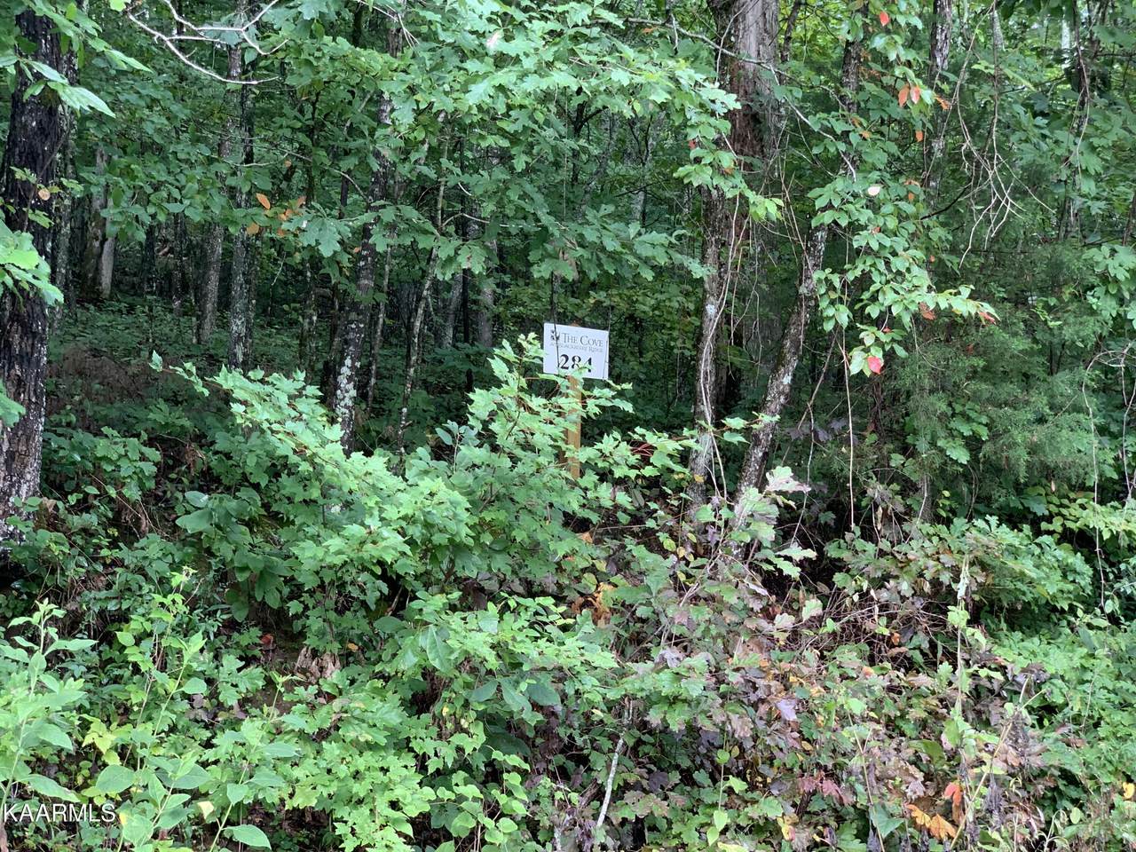 4507 Huffine Rd - Photo 1