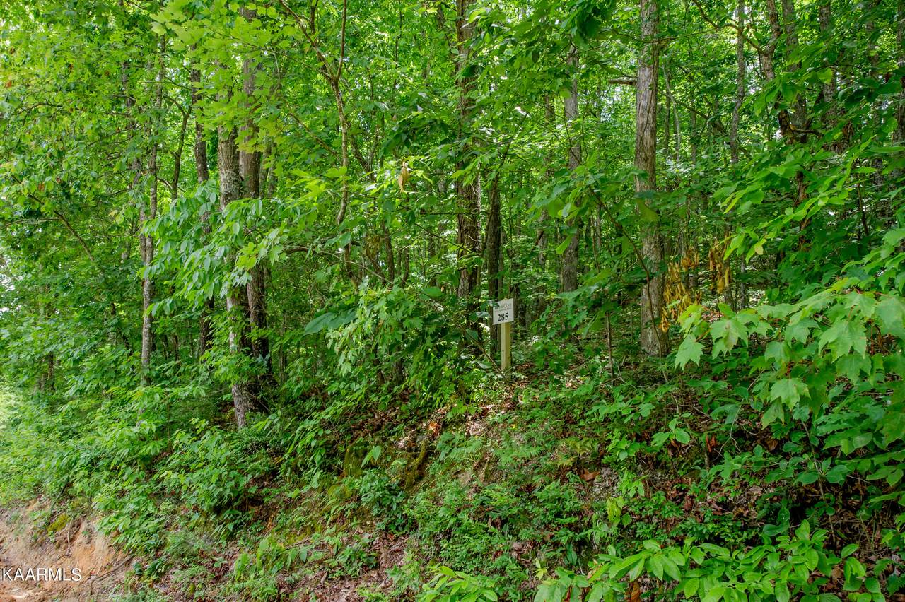 4521 Huffine Rd - Photo 1