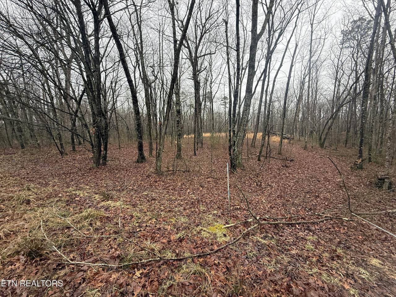 551 Cliff Park Rd - Photo 1