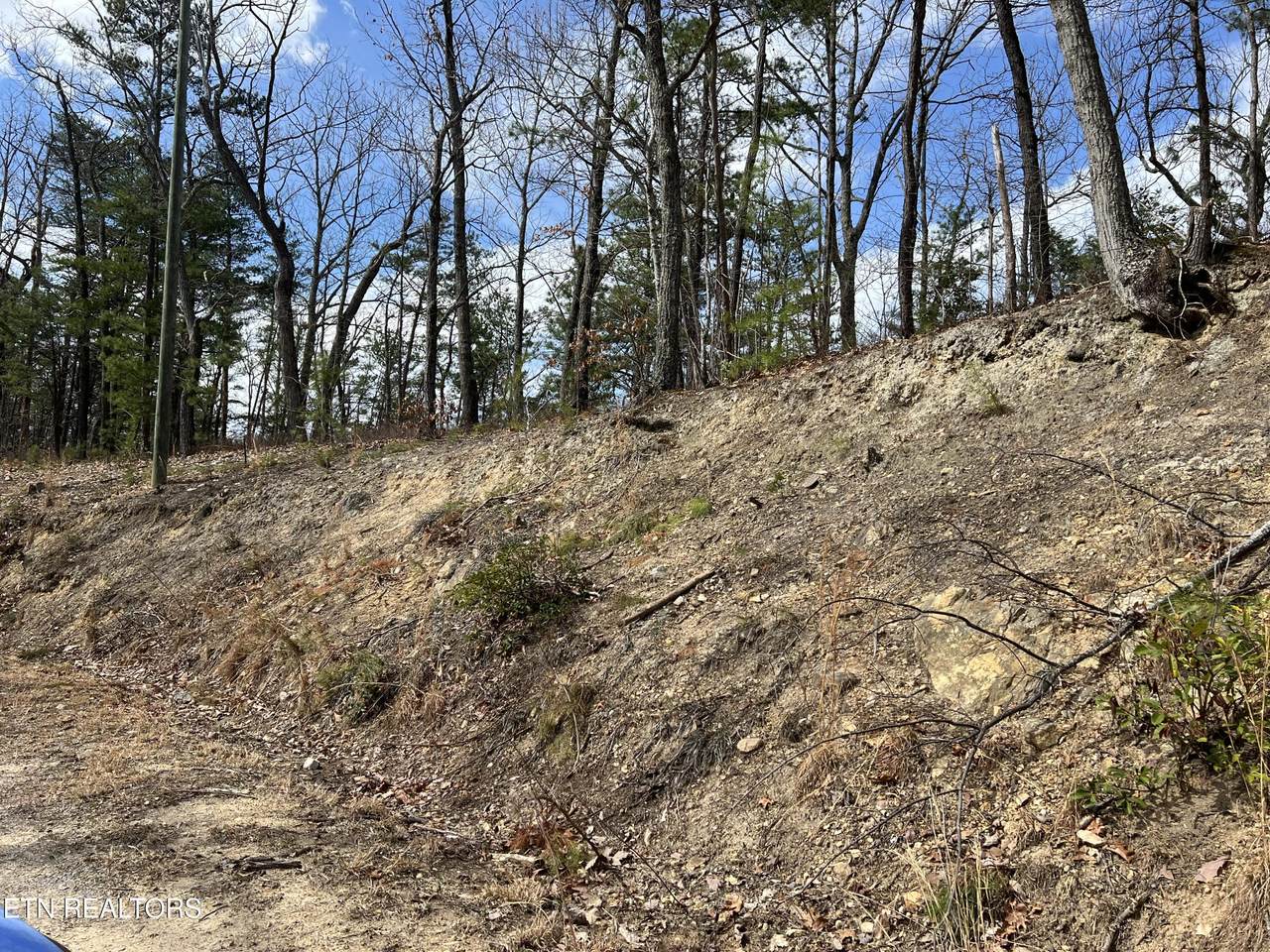  Chestnut Ridge Court - Photo 1