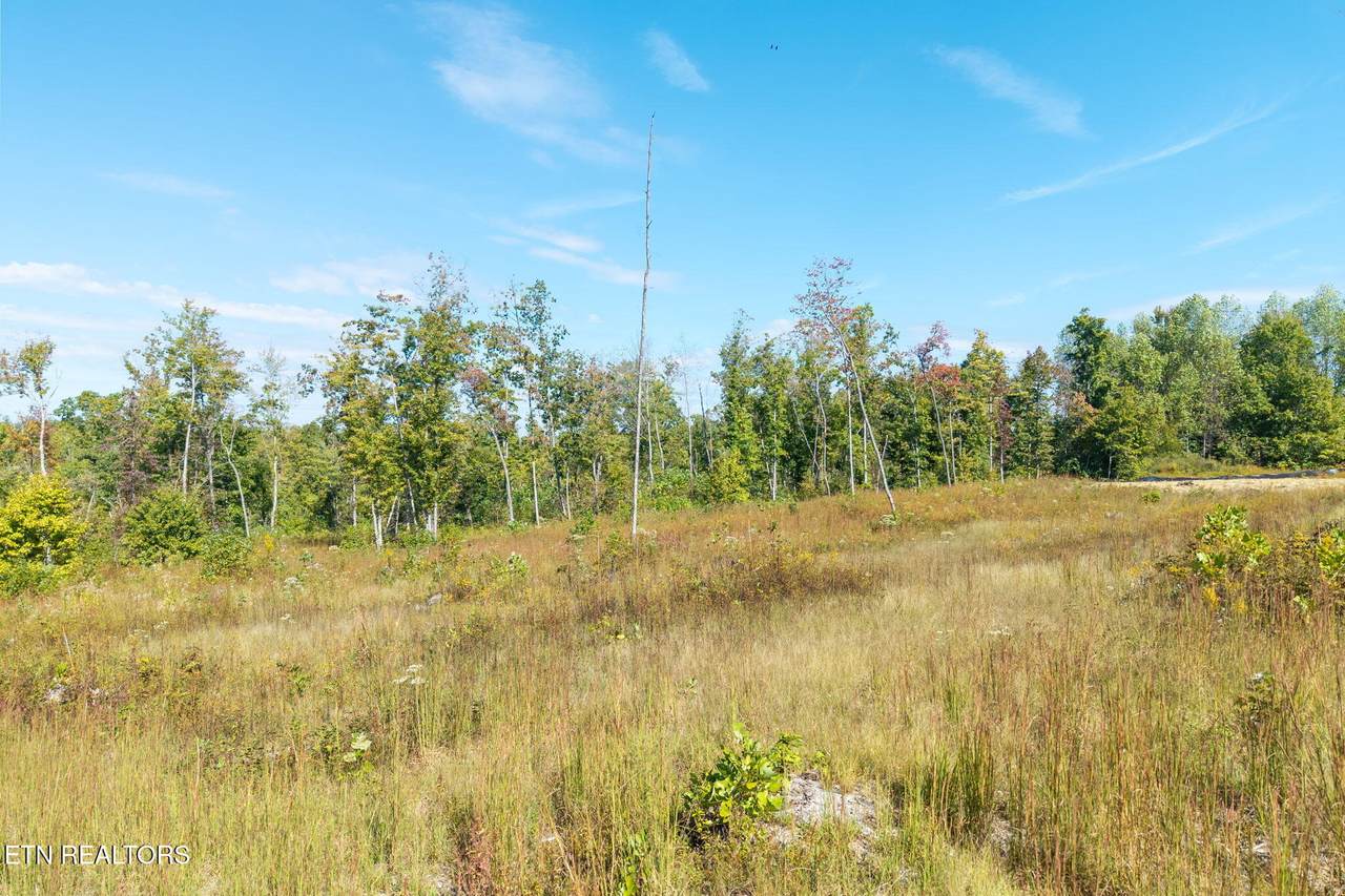  Flat Rock Rd - Photo 1