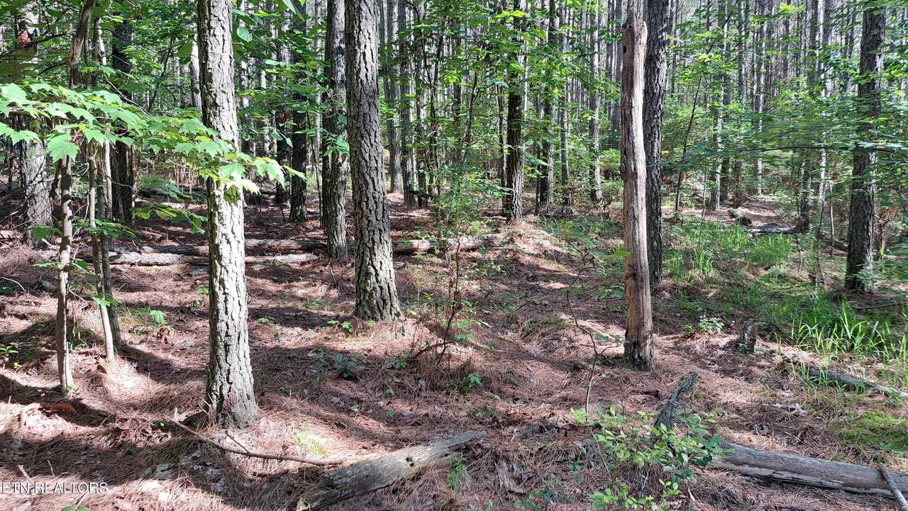 152 Sunset View Lane - Photo 1