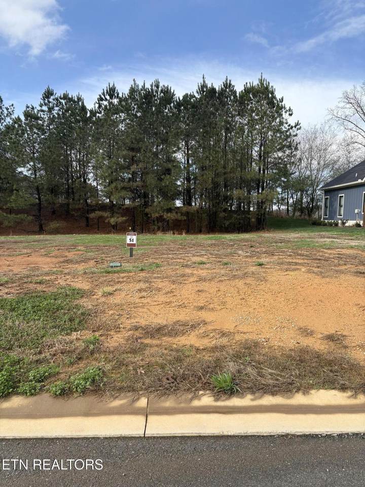 1565 Bobcat Run Drive - Photo 1