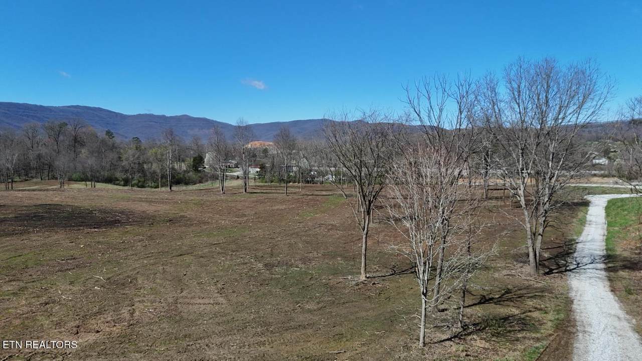  Stone Mill Tract 4 Rd - Photo 1