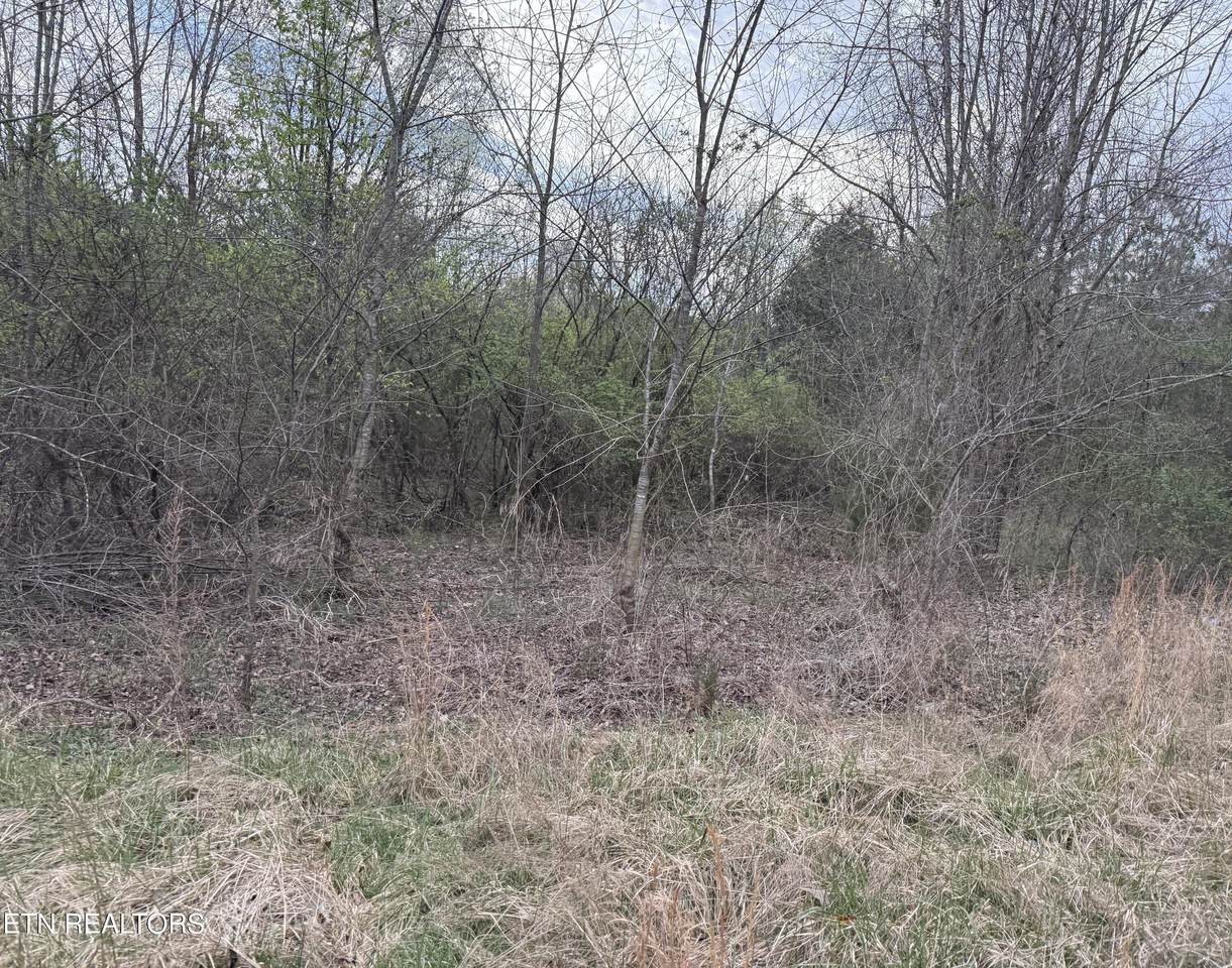 158 Foxwood Drive - Photo 1