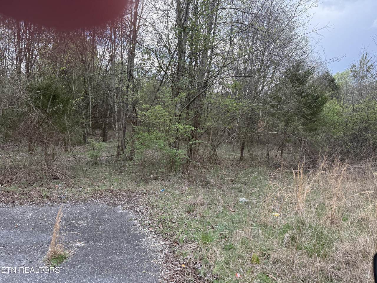 183 Foxwood Drive - Photo 1