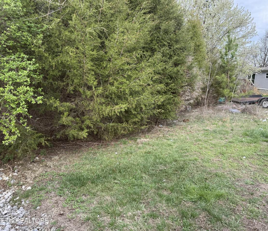 104 Raintree Lane - Photo 1