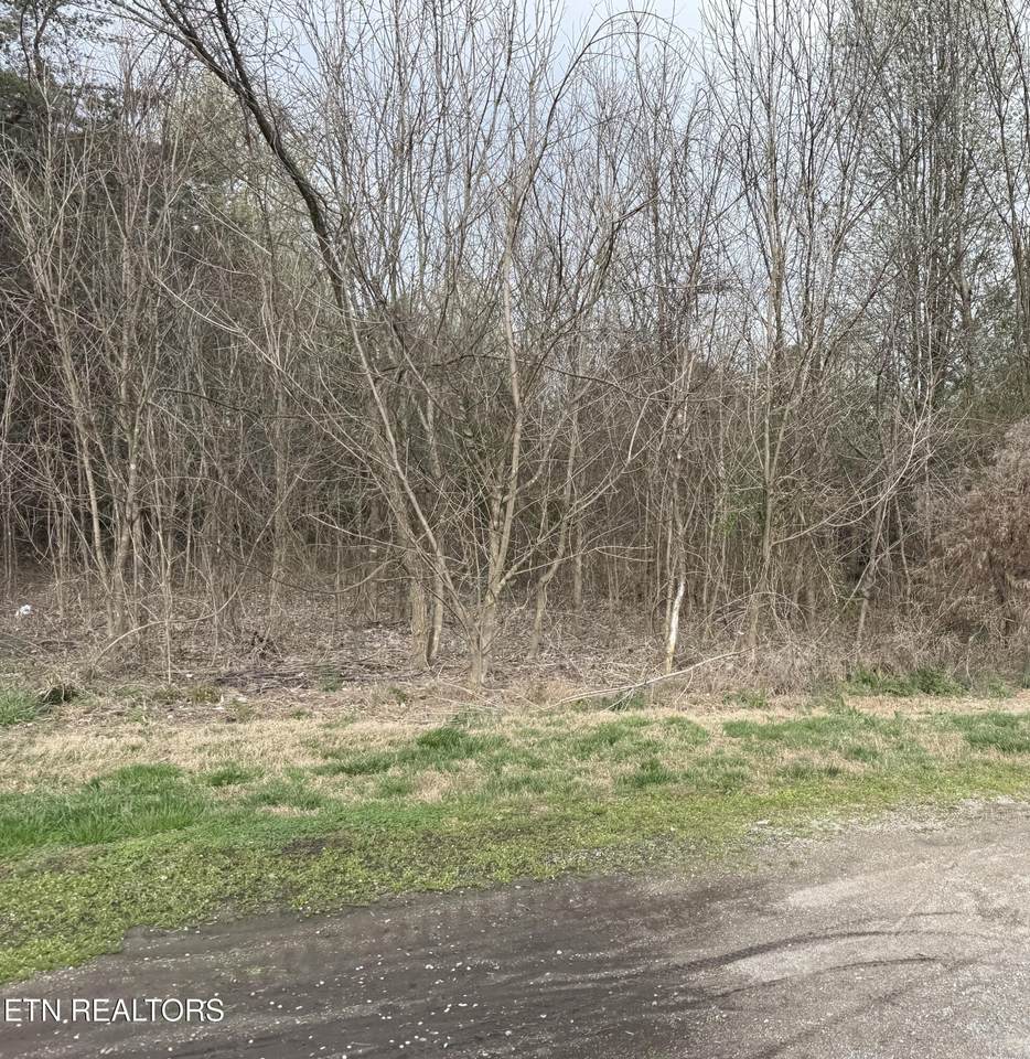 106 Raintree Lane - Photo 1