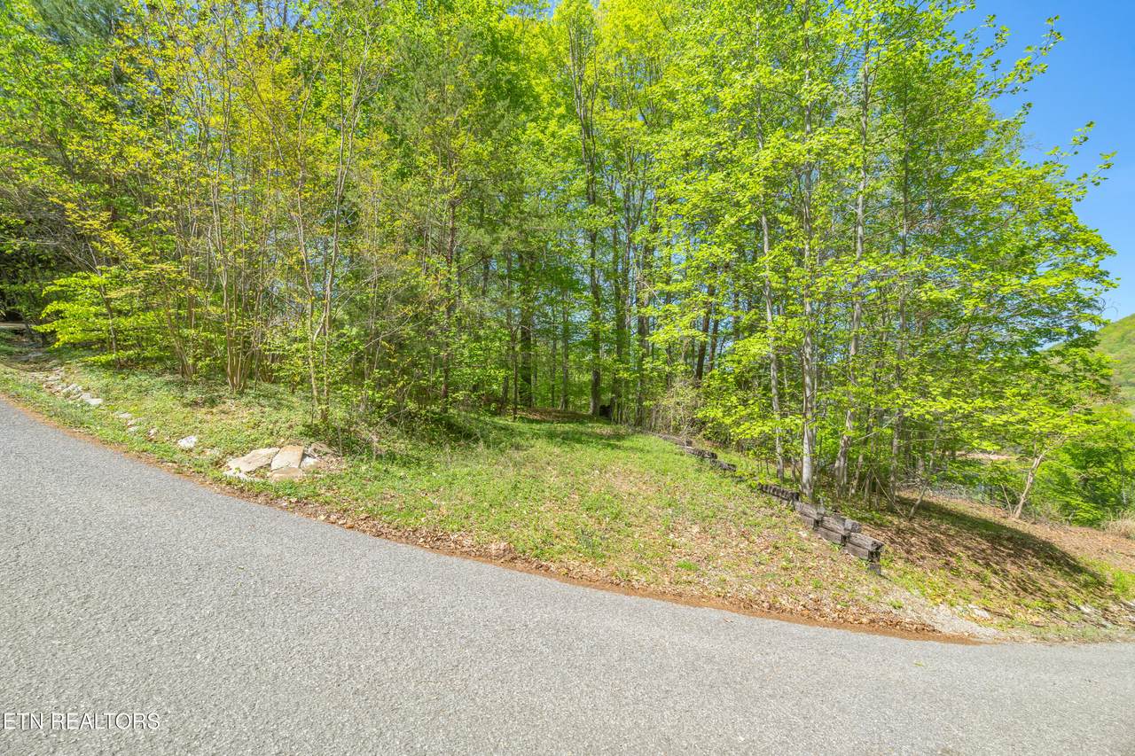 Lot 51 Shorewood Drive - Photo 1