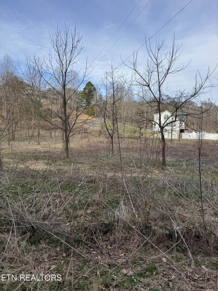 Lot 11 Katelyns Lane - Photo 1