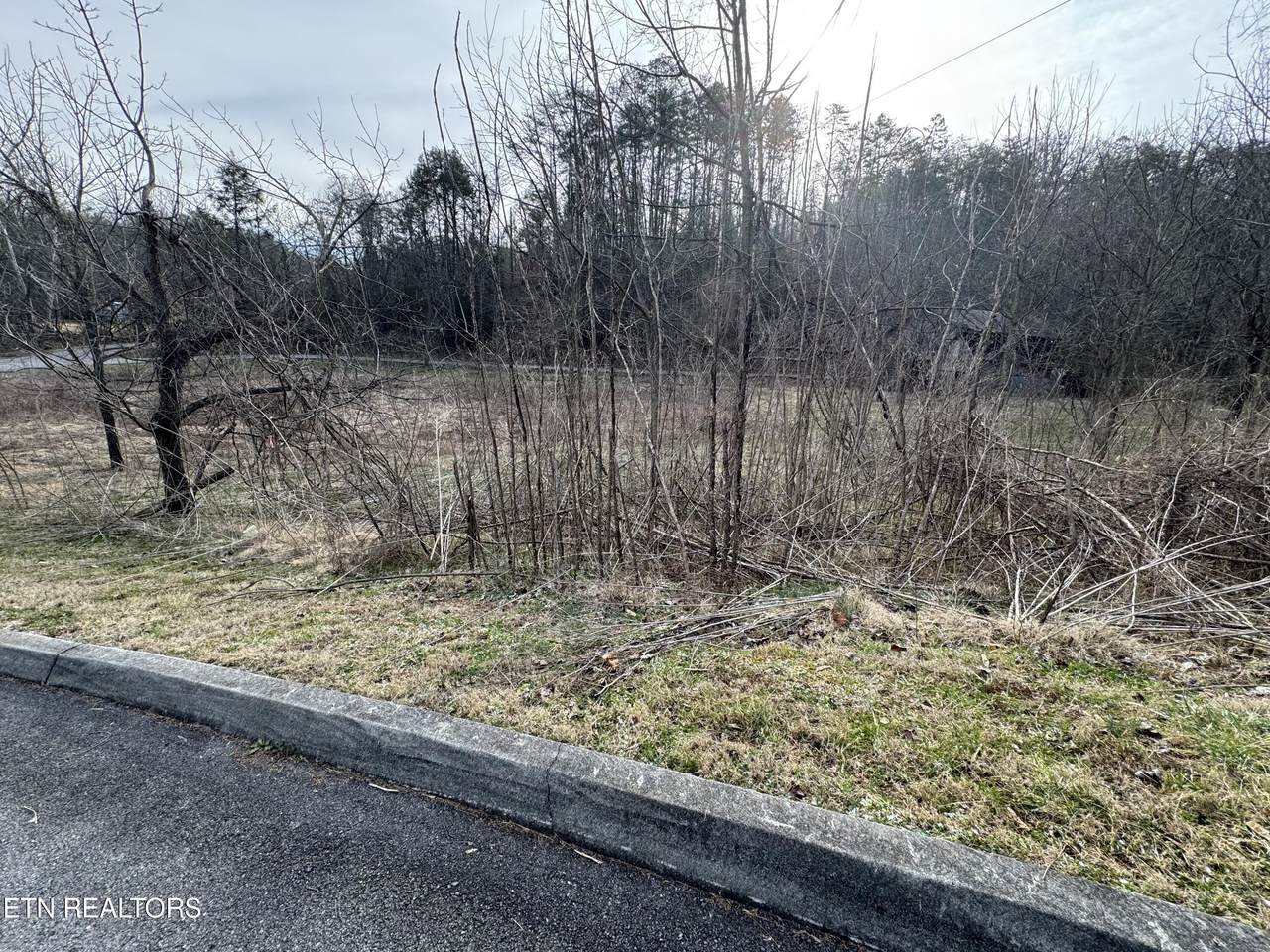Lot 18 Katelyns Lane - Photo 1