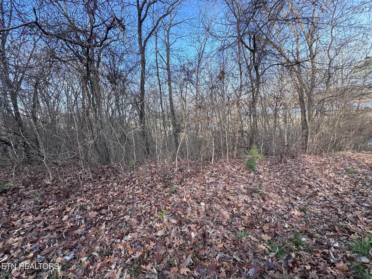 https://bt-photos.global.ssl.fastly.net/kaar/1280_boomver_1_1332909-2.jpg