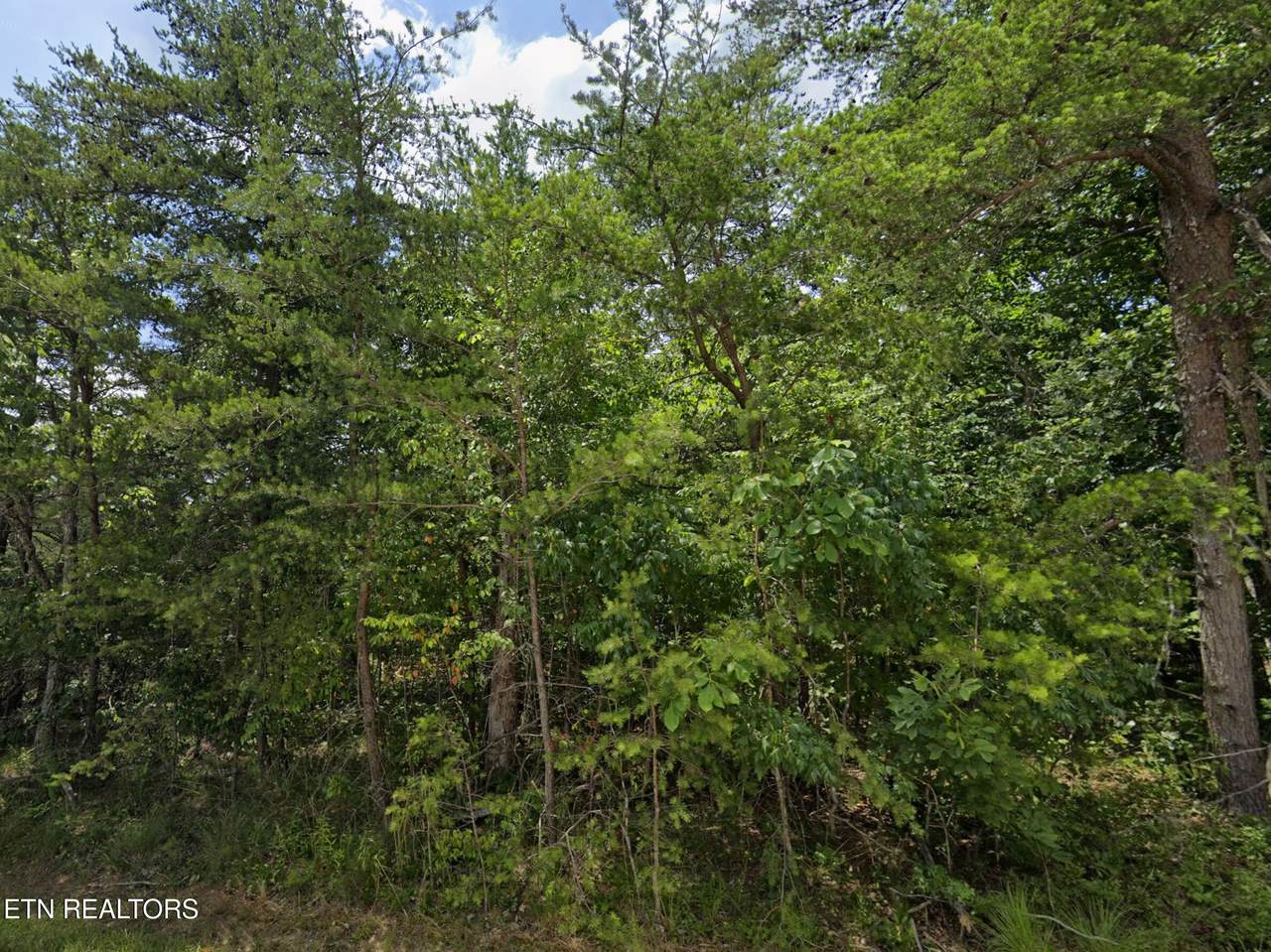 111 Wycliff Lane - Photo 1