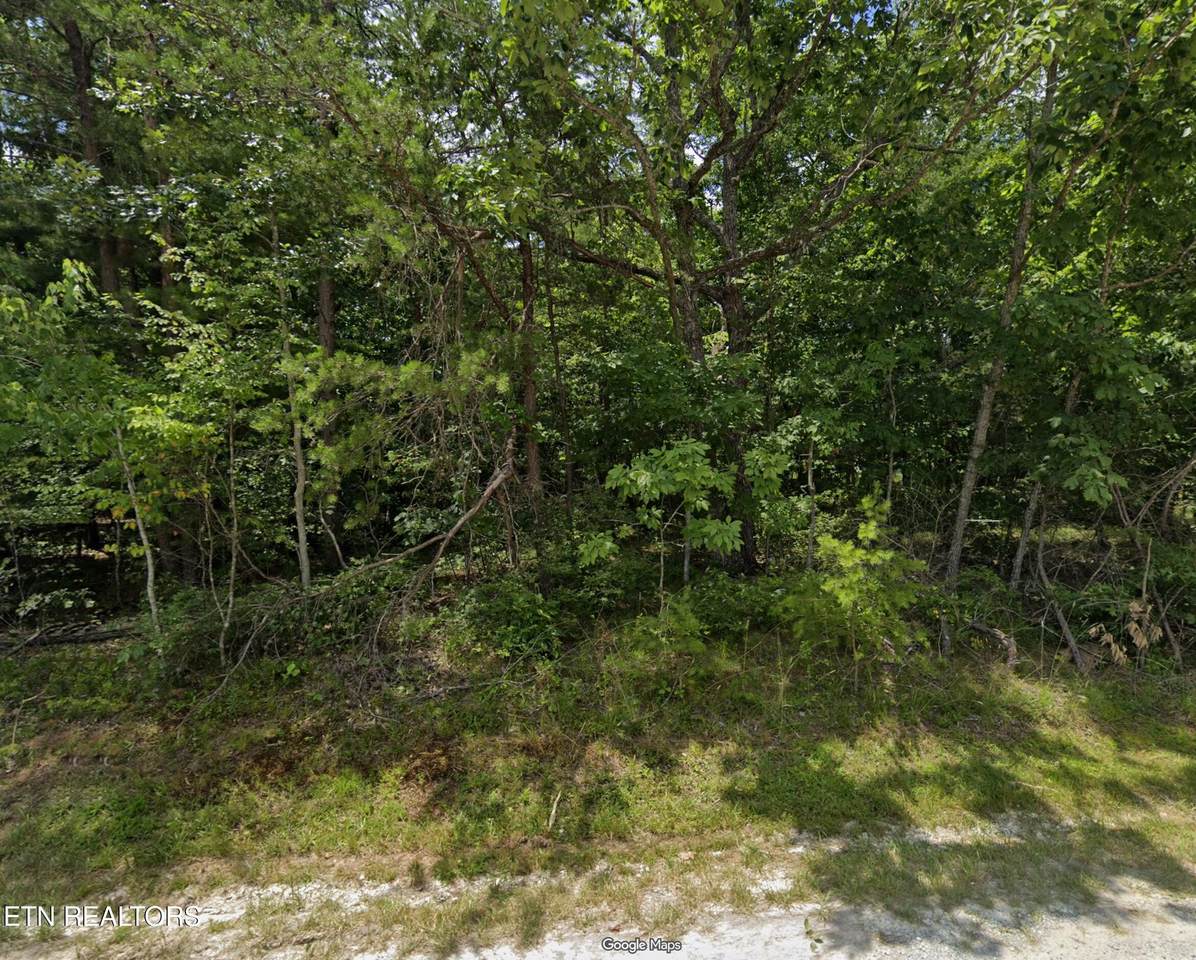 113 Wycliff Lane - Photo 1