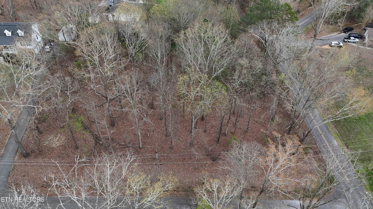 Lot 53/54 Calfee Lane - Photo 1