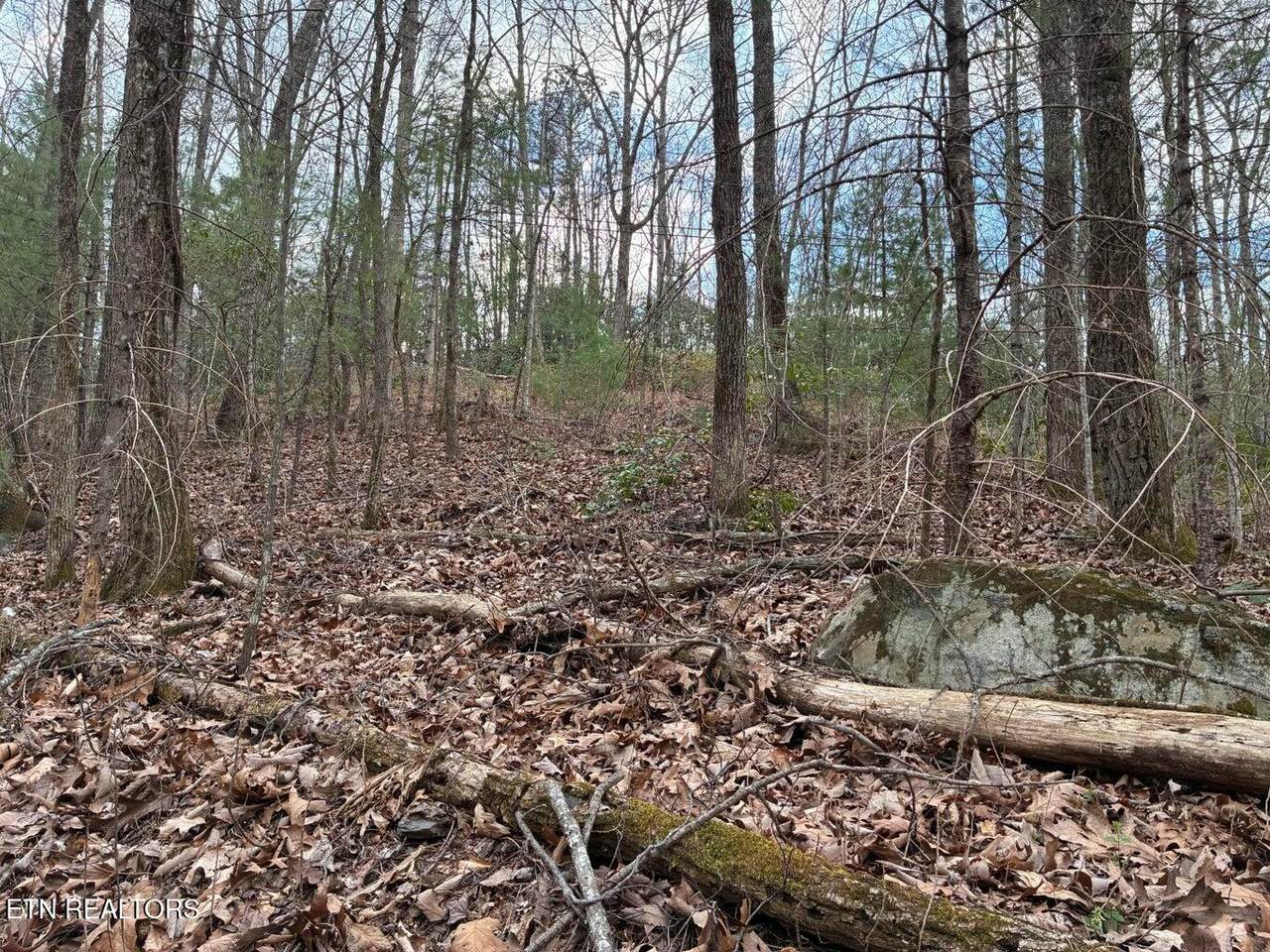 00 Chestnut Mountain Rd - Photo 1