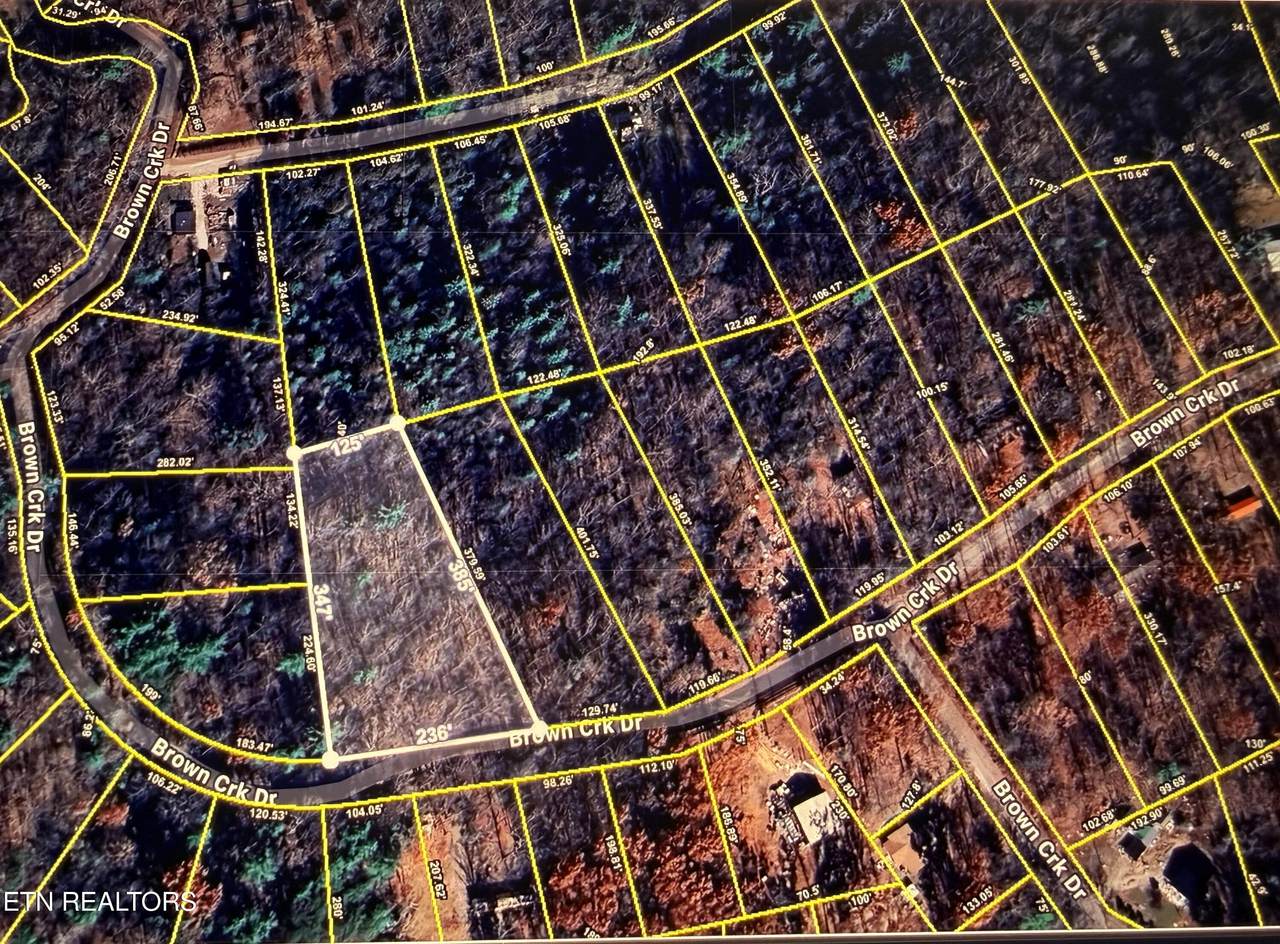  Brown Creek Drive - Photo 1