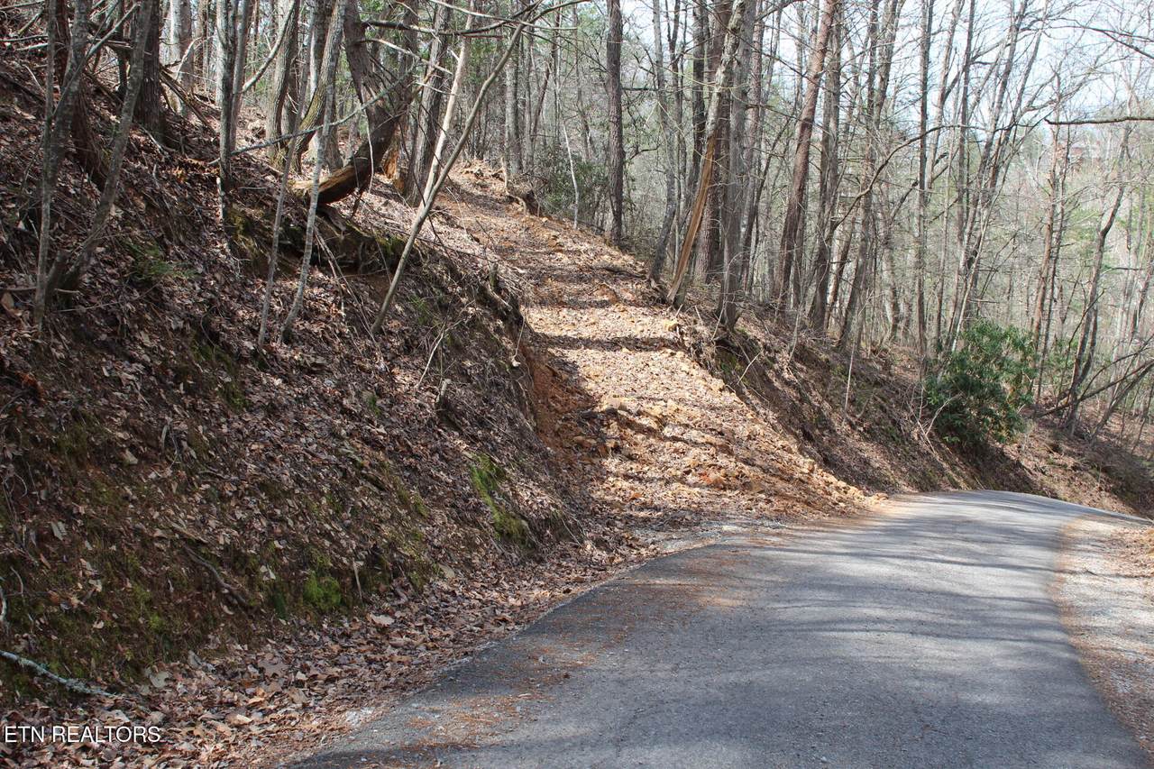  Ridgefield Drive - Photo 1