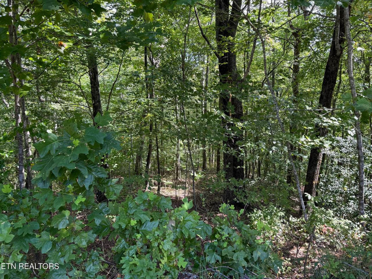 https://bt-photos.global.ssl.fastly.net/kaar/1280_boomver_1_1332980-2.jpg