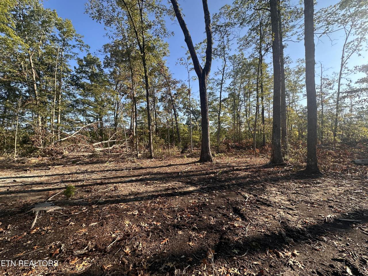 11.53 Ac Government Pond Rd - Photo 1