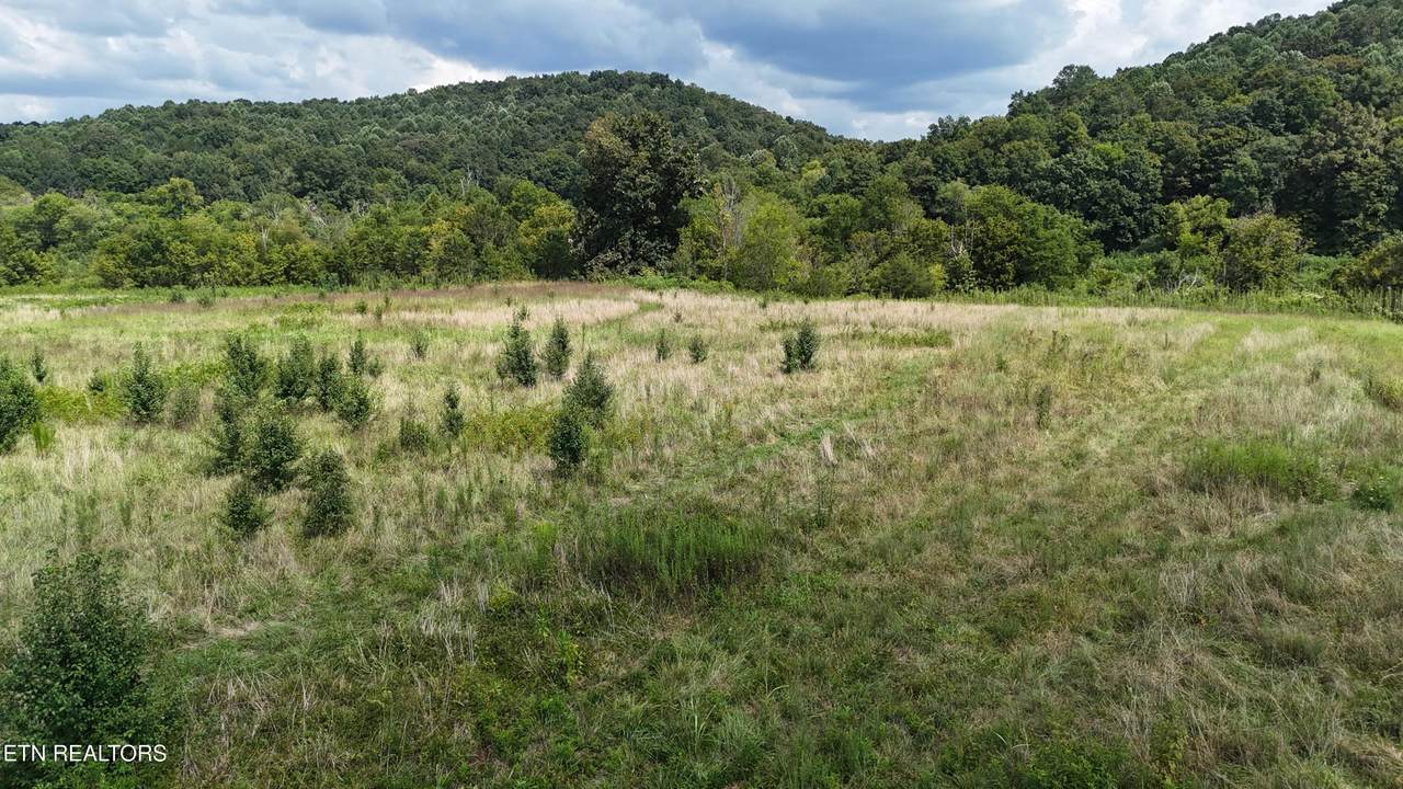 0 County Road 60 - Photo 1