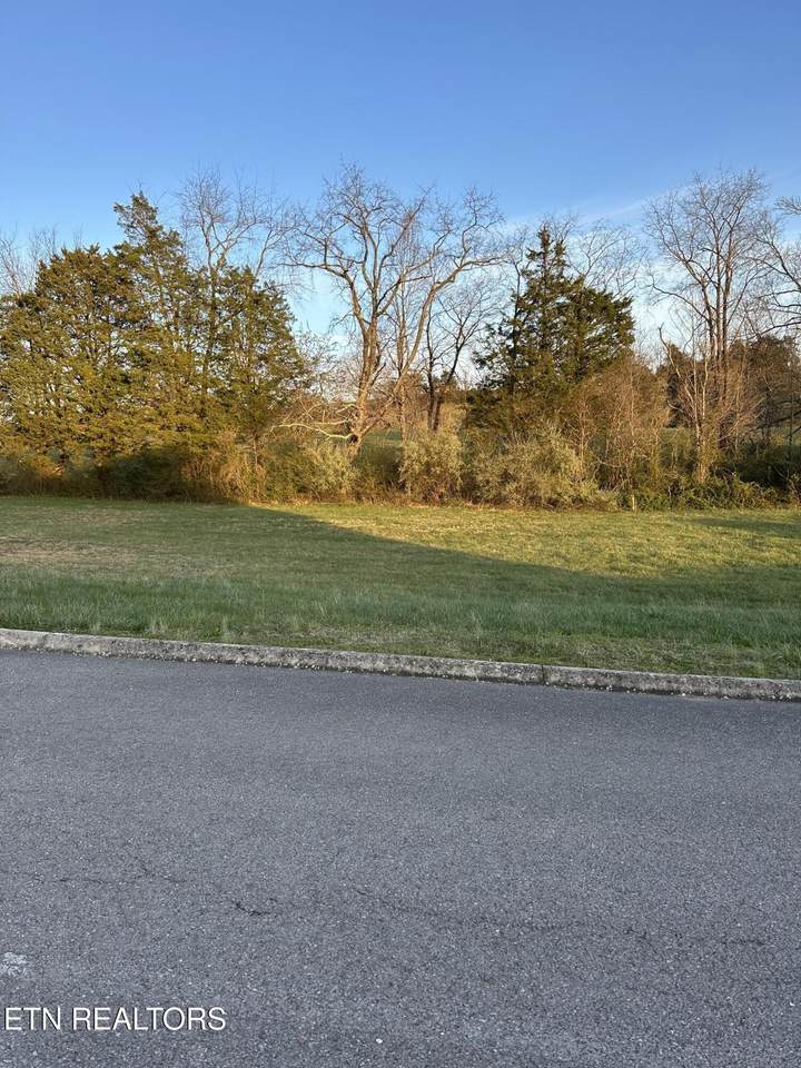 Lot 18 Danielle Court - Photo 1