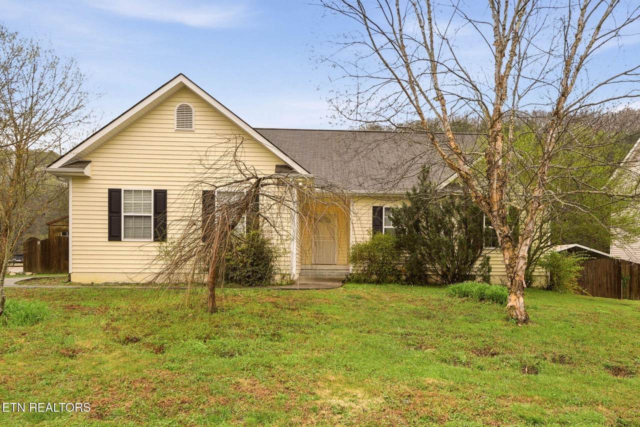 3200 Mistletoe Drive - Photo 1