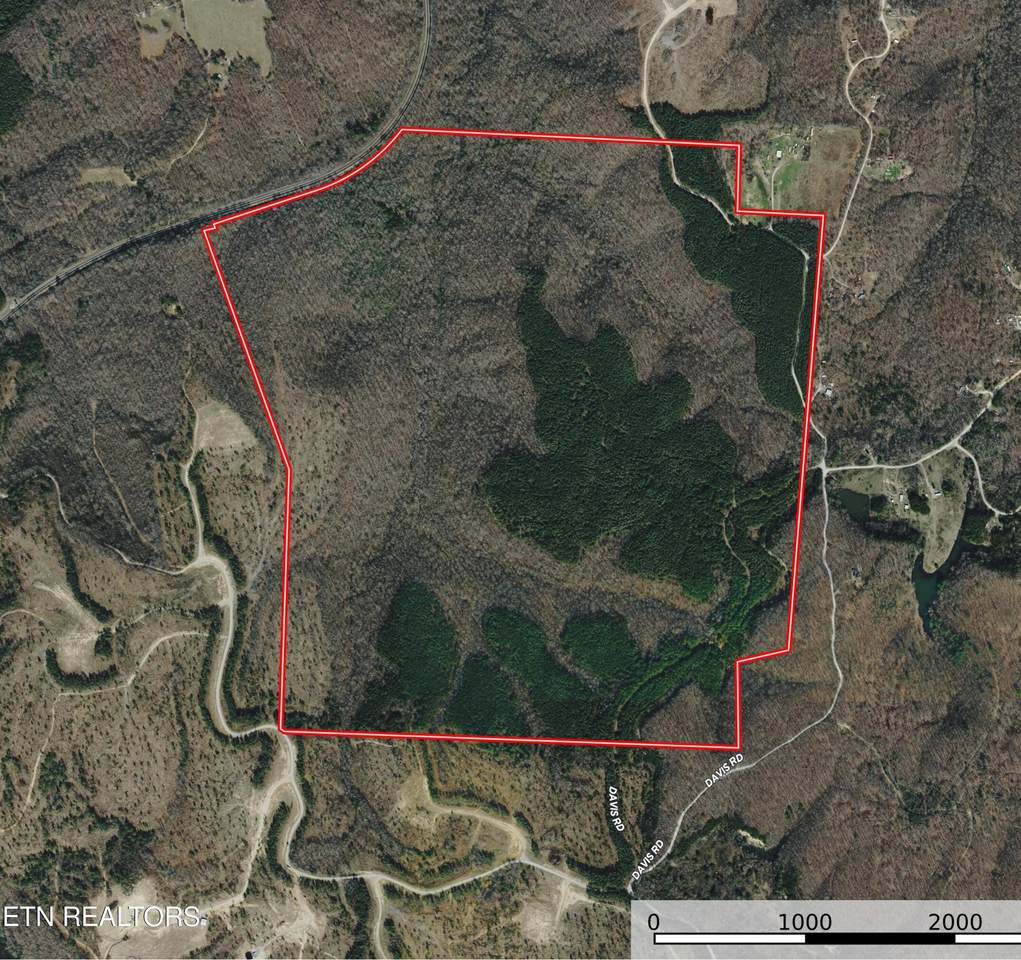  Davis Rd - Photo 1