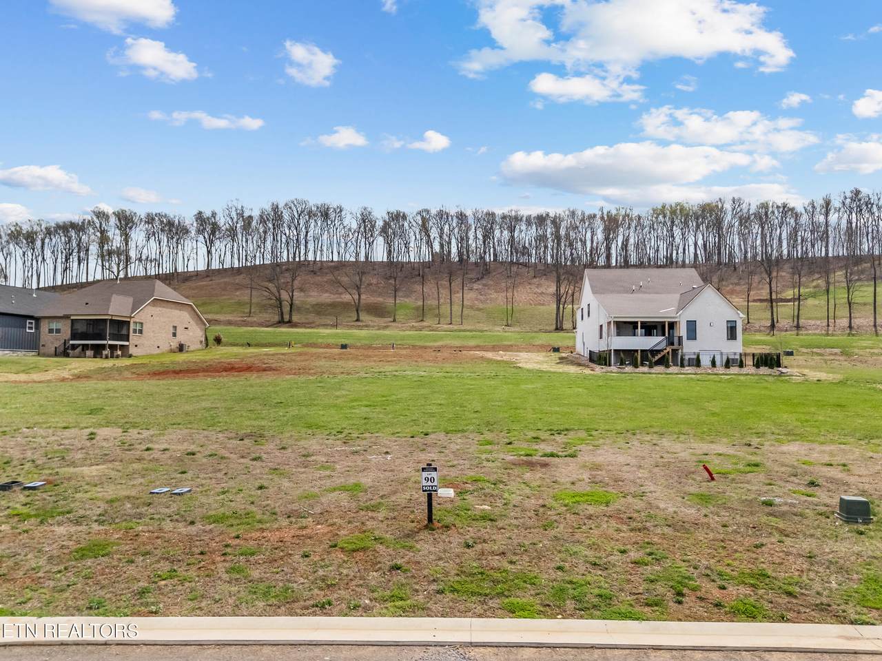 980 Black Bear Circle - Photo 1