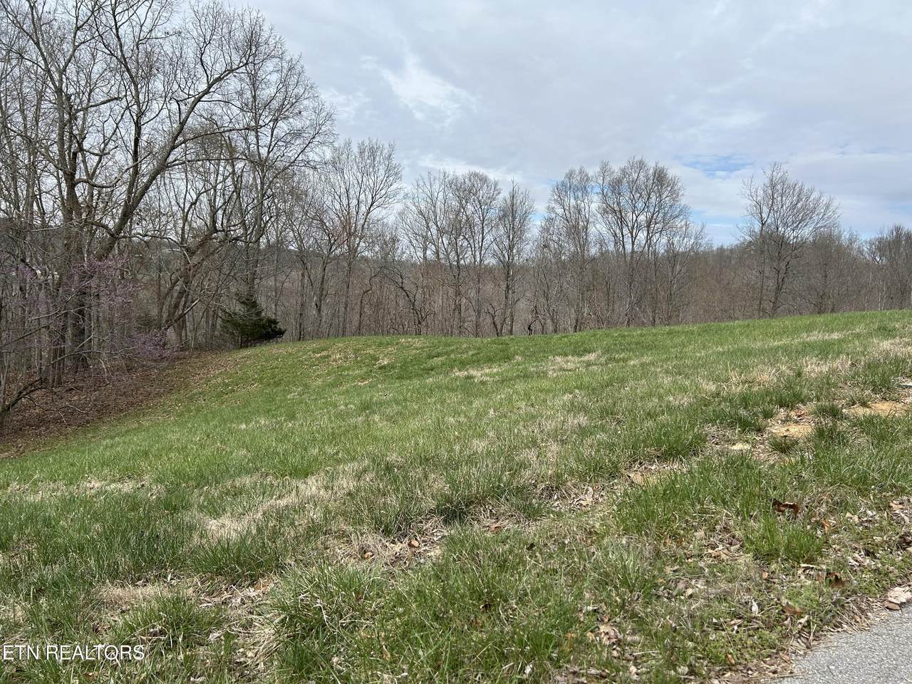Lot 260-B Marble Point Way - Photo 1