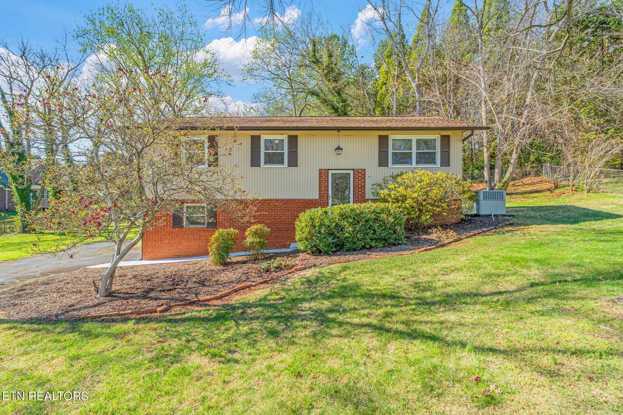 7809 Serena Circle - Photo 1